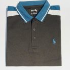 Penal Polo